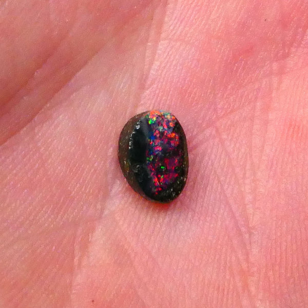 Red dominant Fires on this solid Winton Boulder Opal Gemstone 1.30cts Ready to set 8x5x3mm Lot B4-A523