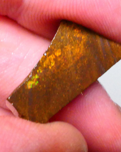 RED Alert Winton Boulder opal rub/rough 17.50cts Face Ready needs some work then a polish 22x12x7mm   Lot B4-A553