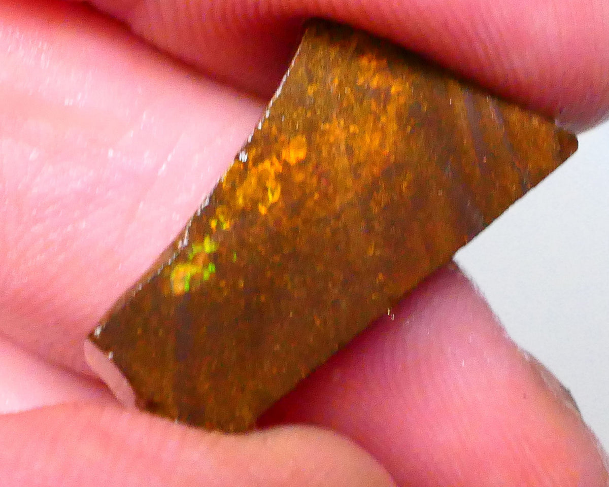 RED Alert Winton Boulder opal rub/rough 17.50cts Face Ready needs some work then a polish 22x12x7mm   Lot B4-A553