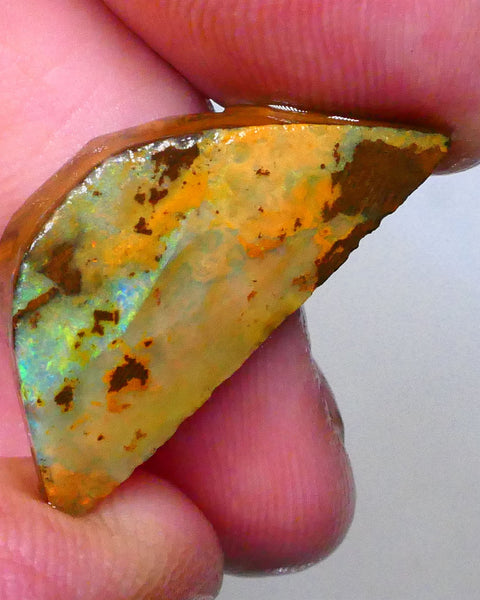 Winton Boulder opal Rub/rough/preform 19.00cts Green dominant fires to rubbed face 27x12x6mm Lot B4-A551