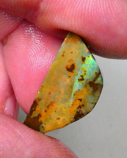 Winton Boulder opal Rub/rough/preform 19.00cts Green dominant fires to rubbed face 27x12x6mm Lot B4-A551