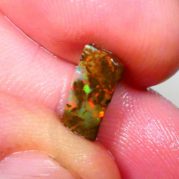 Red Dominant fires here :) Winton Boulder opal rough 4.20cts Small sized rough to cut 10x7x5mm   Lot B4-A549