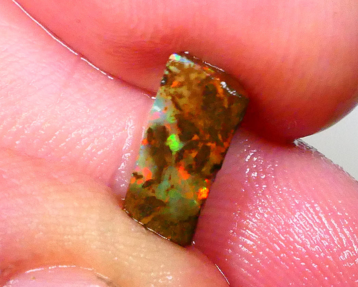 Red Dominant fires here :) Winton Boulder opal rough 4.20cts Small sized rough to cut 10x7x5mm   Lot B4-A549