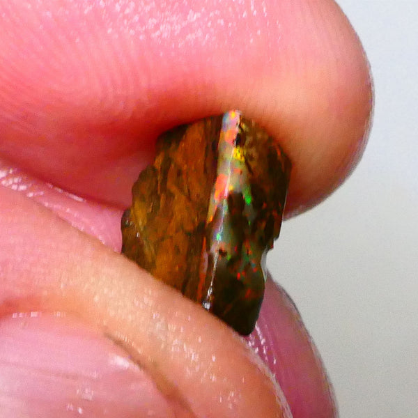 Red Dominant fires here :) Winton Boulder opal rough 4.20cts Small sized rough to cut 10x7x5mm   Lot B4-A549
