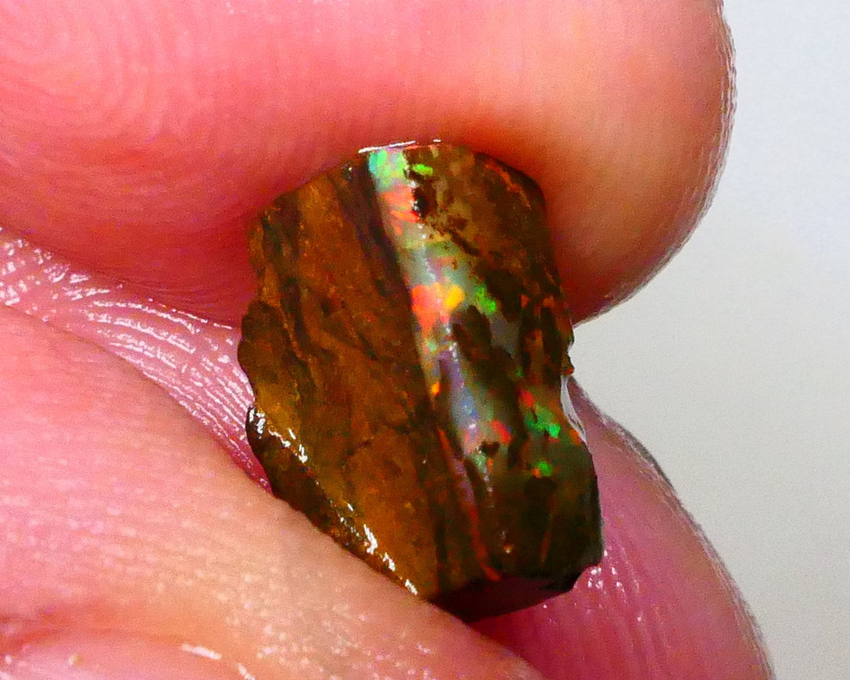 Red Dominant fires here :) Winton Boulder opal rough 4.20cts Small sized rough to cut 10x7x5mm   Lot B4-A549
