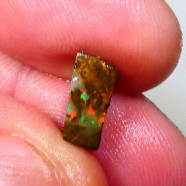 Red Dominant fires here :) Winton Boulder opal rough 4.20cts Small sized rough to cut 10x7x5mm   Lot B4-A549