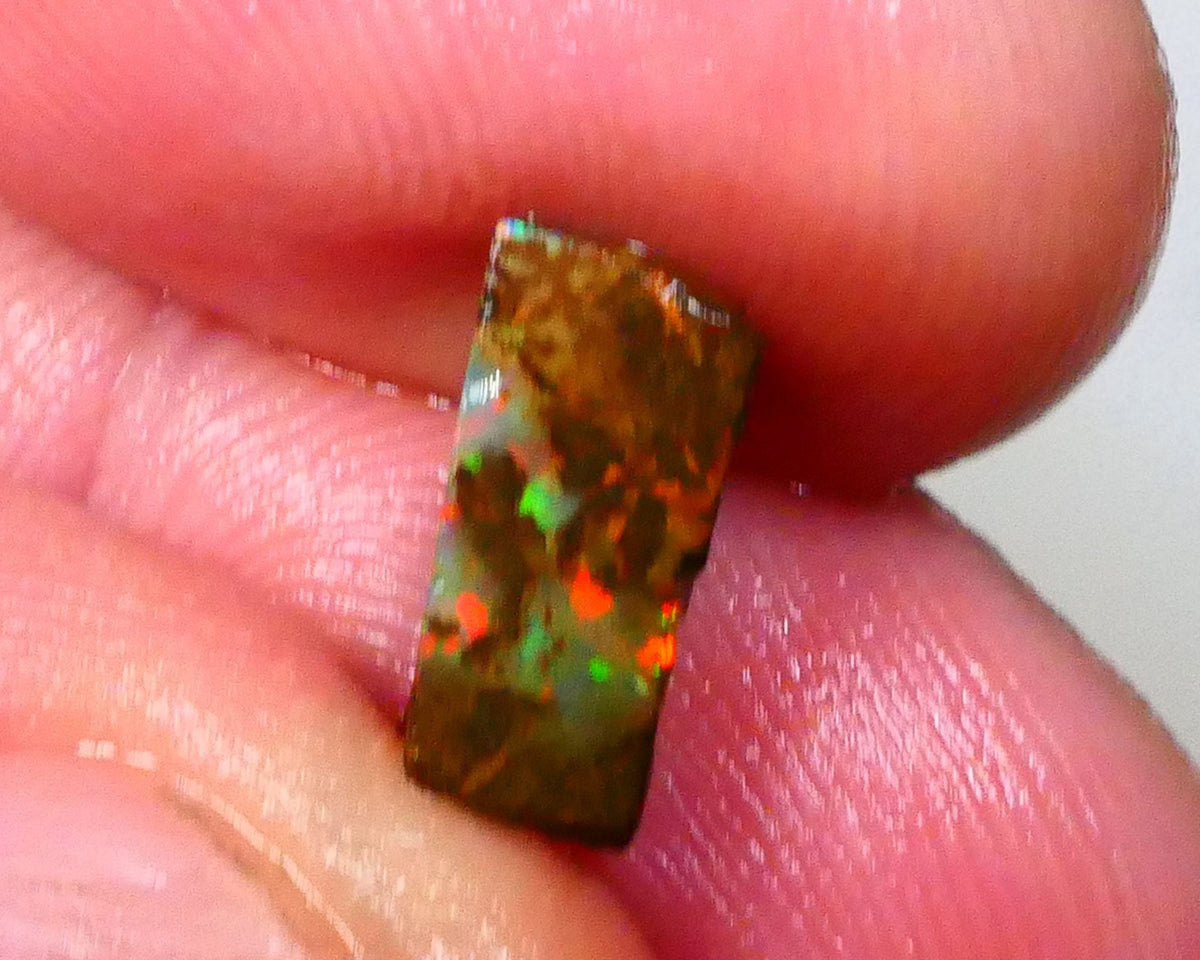 Red Dominant fires here :) Winton Boulder opal rough 4.20cts Small sized rough to cut 10x7x5mm   Lot B4-A549