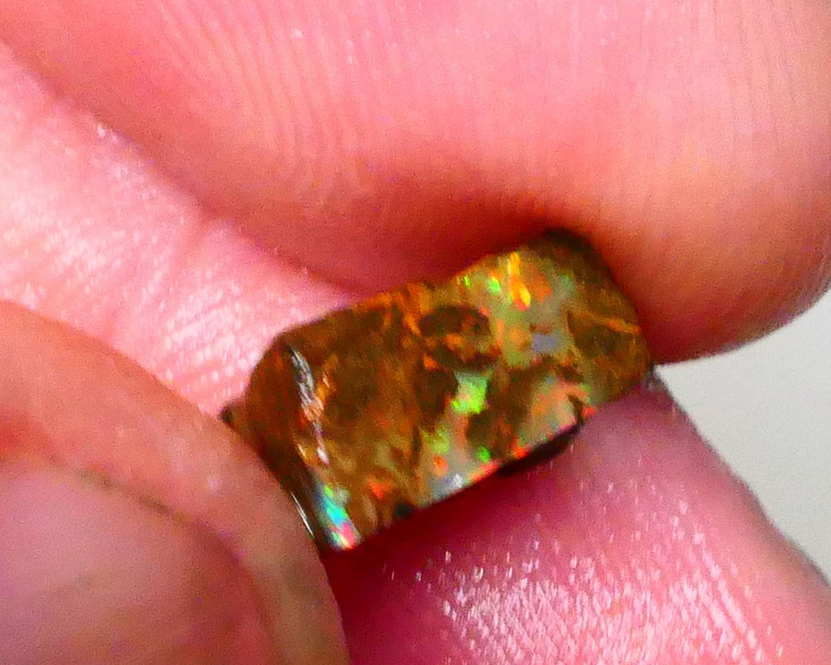 Red Dominant fires here :) Winton Boulder opal rough 4.20cts Small sized rough to cut 10x7x5mm   Lot B4-A549