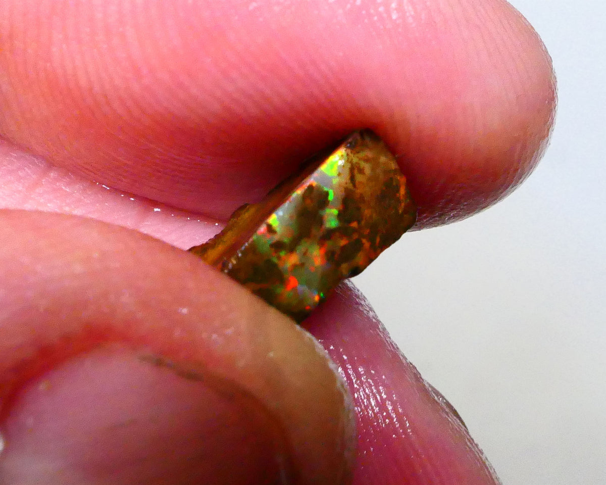 Red Dominant fires here :) Winton Boulder opal rough 4.20cts Small sized rough to cut 10x7x5mm   Lot B4-A549