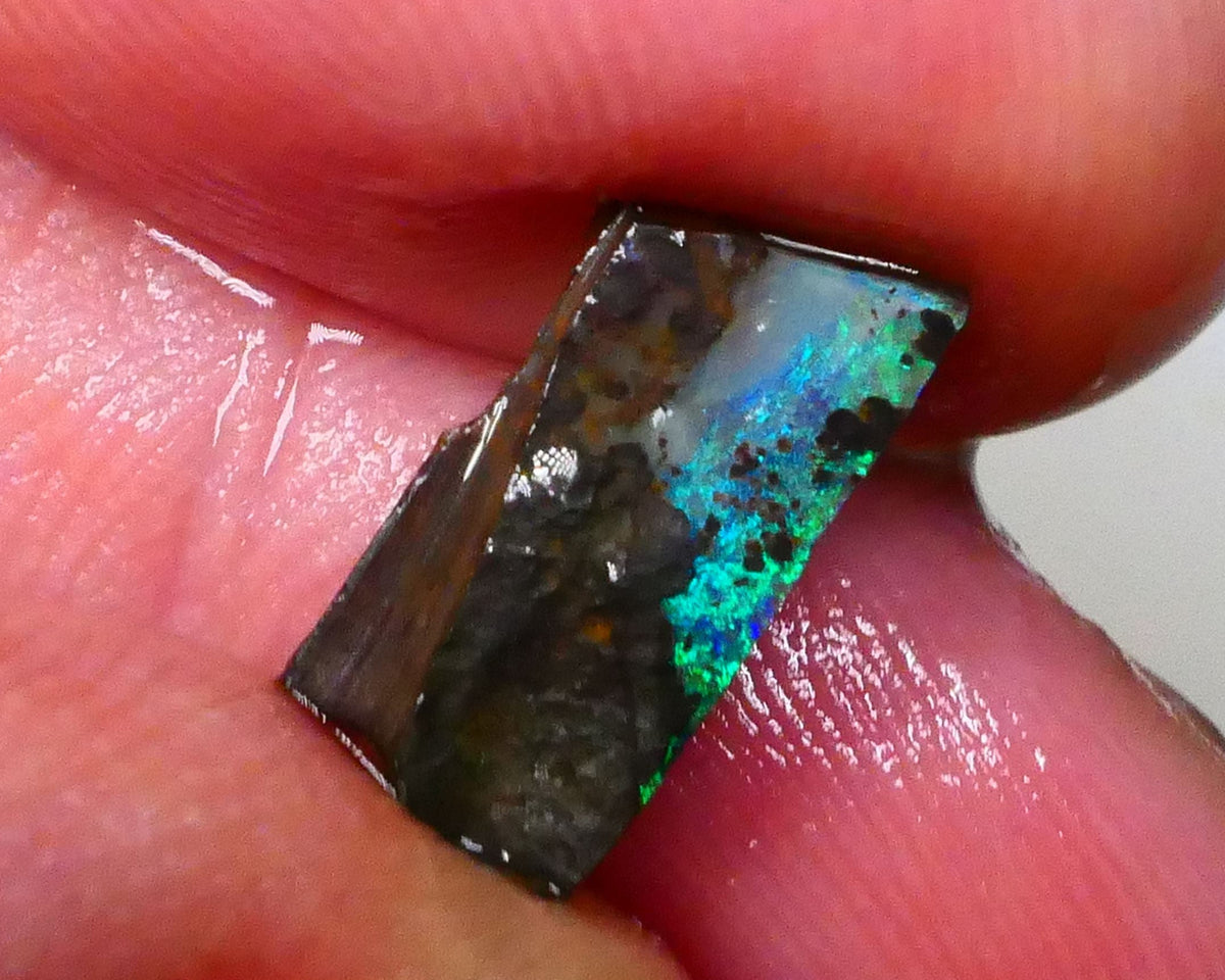 Small Winton Boulder opal rough 3.60cts Bright Greens & blues on the opal deposit on Ironstone host 14x6x4mm Lot B4-A548