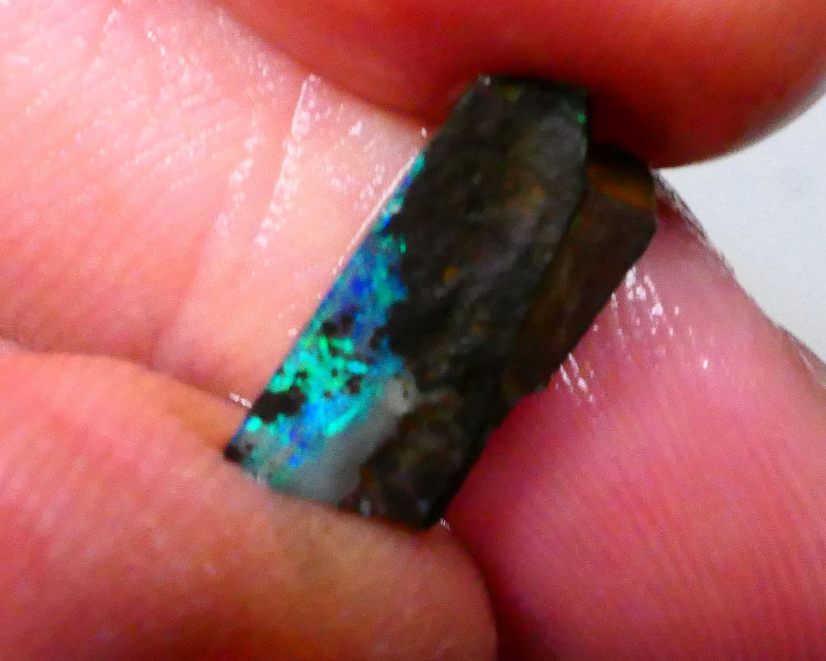 Small Winton Boulder opal rough 3.60cts Bright Greens & blues on the opal deposit on Ironstone host 14x6x4mm Lot B4-A548