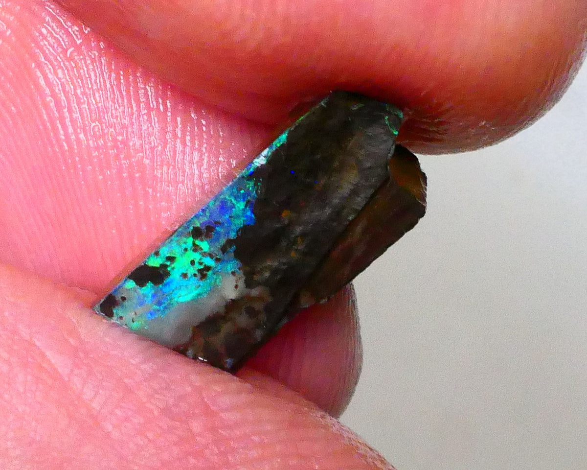 Small Winton Boulder opal rough 3.60cts Bright Greens & blues on the opal deposit on Ironstone host 14x6x4mm Lot B4-A548