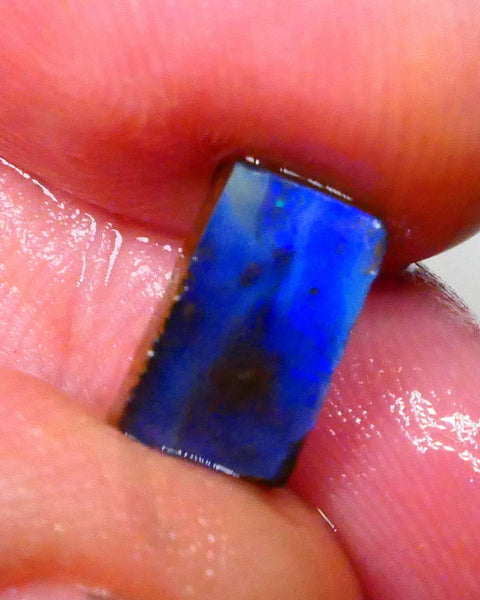 Winton Moody Blues Gorgeous Rough rub preform boulder opal 3.10cts Little work & a polish then set 10x6x6mm   Lot B4-A546