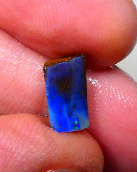 Winton Moody Blues Gorgeous Rough rub preform boulder opal 3.10cts Little work & a polish then set 10x6x6mm   Lot B4-A546