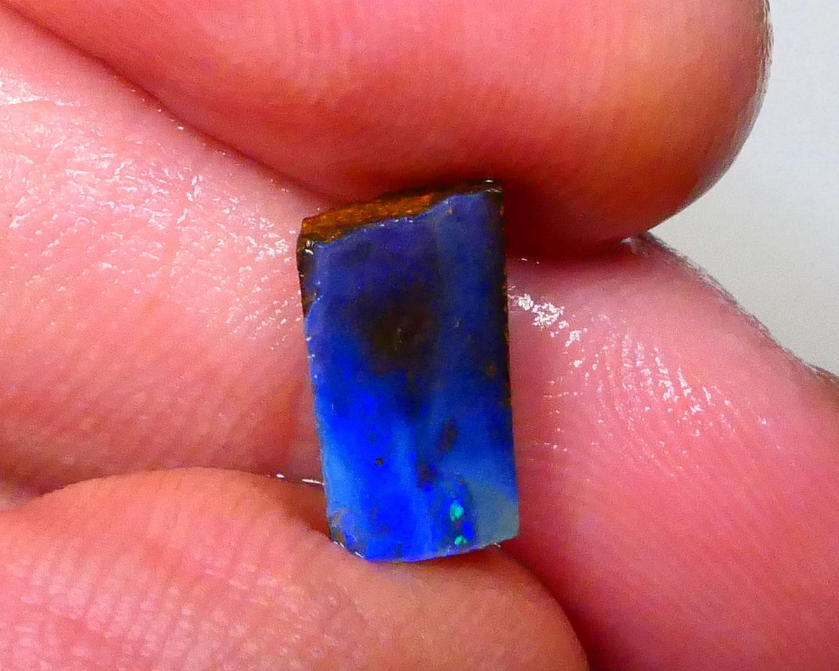 Winton Moody Blues Gorgeous Rough rub preform boulder opal 3.10cts Little work & a polish then set 10x6x6mm   Lot B4-A546