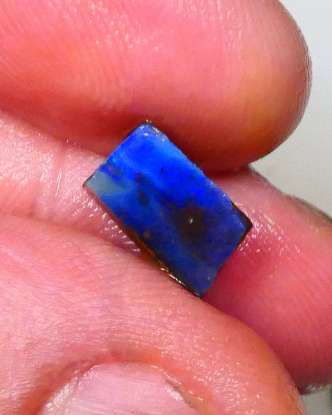Winton Moody Blues Gorgeous Rough rub preform boulder opal 3.10cts Little work & a polish then set 10x6x6mm   Lot B4-A546
