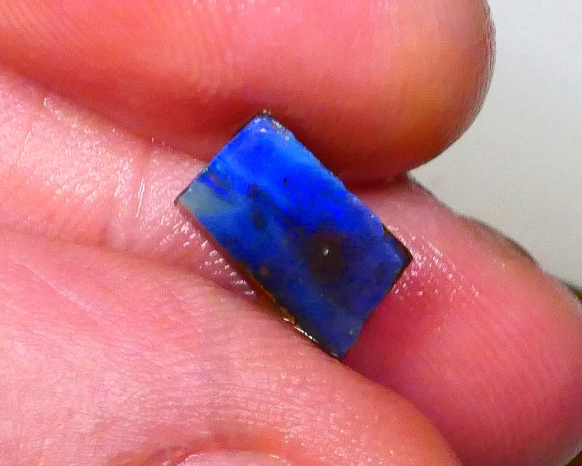 Winton Moody Blues Gorgeous Rough rub preform boulder opal 3.10cts Little work & a polish then set 10x6x6mm   Lot B4-A546