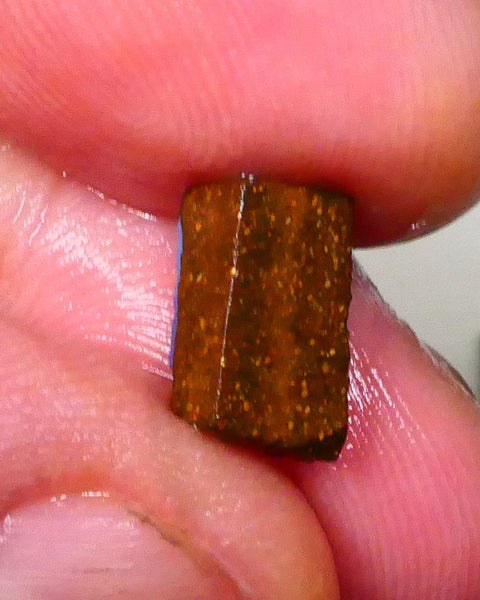 Winton Moody Blues Gorgeous Rough rub preform boulder opal 3.10cts Little work & a polish then set 10x6x6mm   Lot B4-A546