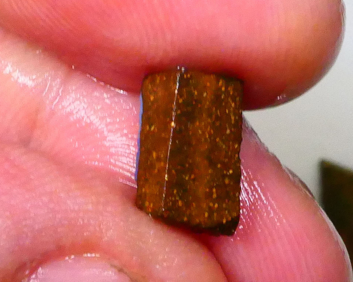 Winton Moody Blues Gorgeous Rough rub preform boulder opal 3.10cts Little work & a polish then set 10x6x6mm   Lot B4-A546
