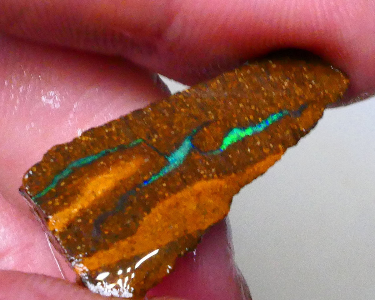 Green dominant Stipe/Vein of opal exposed in this boulder opal rough 13.75cts Winton material to polish 29x13x7mm  Lot B4-A543