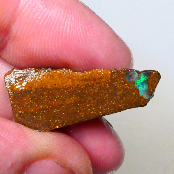 Green dominant Stipe/Vein of opal exposed in this boulder opal rough 13.75cts Winton material to polish 29x13x7mm  Lot B4-A543