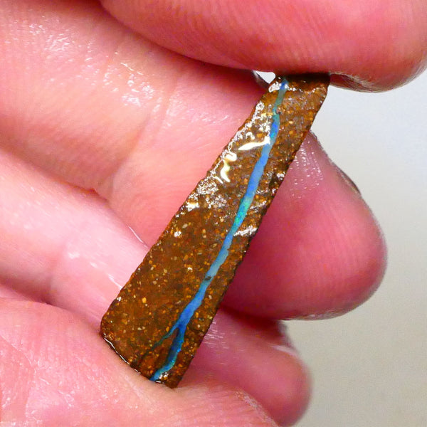 Green dominant Stipe/Vein of opal exposed in this boulder opal rough 13.75cts Winton material to polish 29x13x7mm  Lot B4-A543