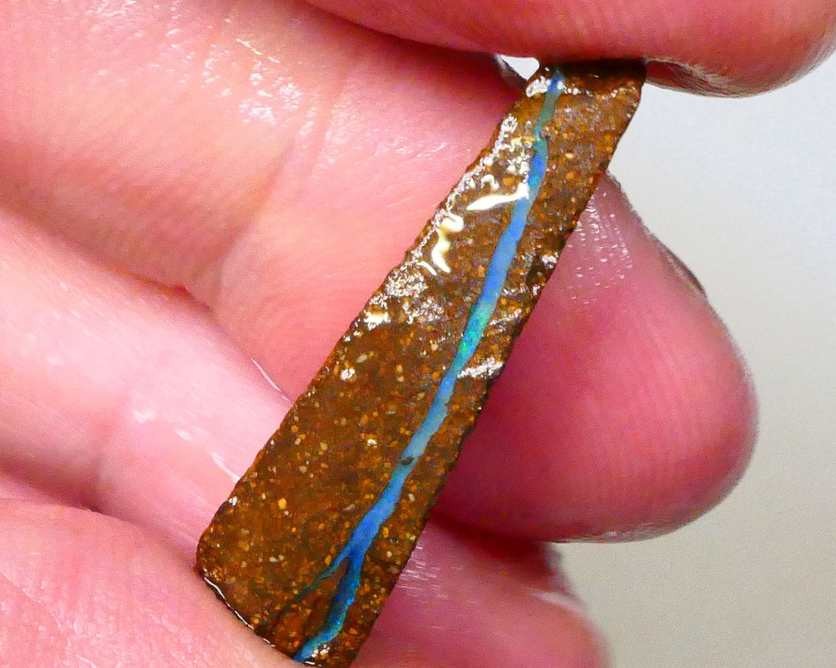 Green dominant Stipe/Vein of opal exposed in this boulder opal rough 13.75cts Winton material to polish 29x13x7mm  Lot B4-A543