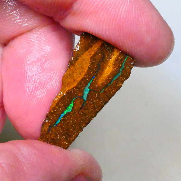Green dominant Stipe/Vein of opal exposed in this boulder opal rough 13.75cts Winton material to polish 29x13x7mm  Lot B4-A543