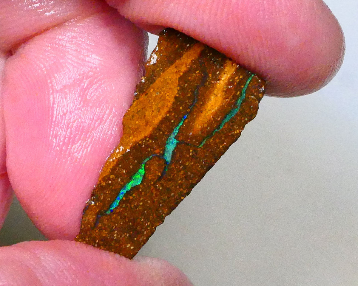 Green dominant Stipe/Vein of opal exposed in this boulder opal rough 13.75cts Winton material to polish 29x13x7mm  Lot B4-A543