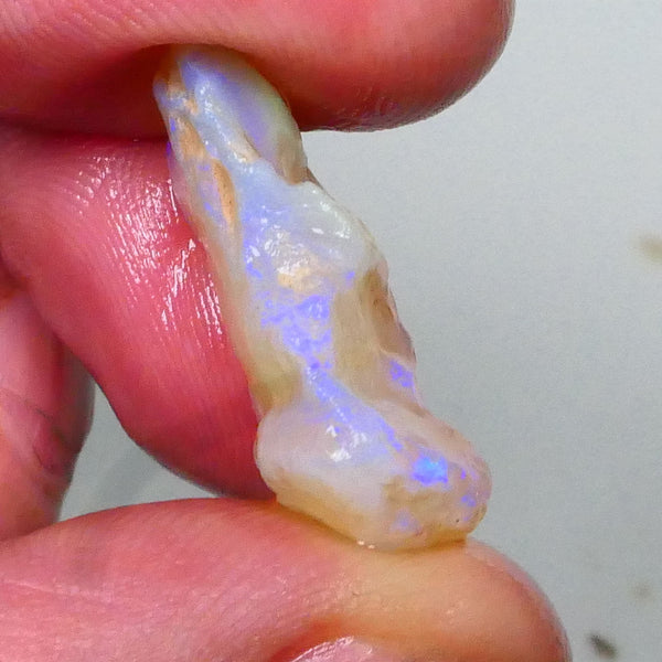 Coober Pedy Crystal Seam opal rough 12.00cts Lots of blue colours to cut / carve & Polish 25x11x9mm  Lot B4-A573