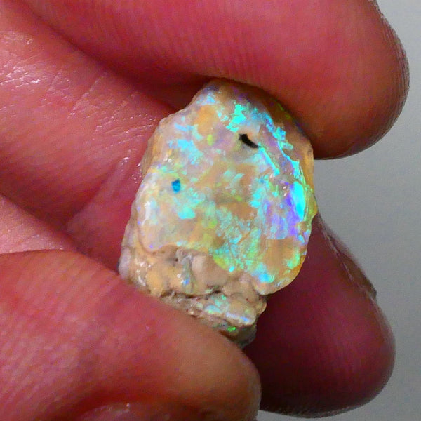 vibrant Rainbow of Fires on this Knobby opal formation rough 7.00cts Lightning Ridge carve or collect 18x12x5mm Lot B4-A572
