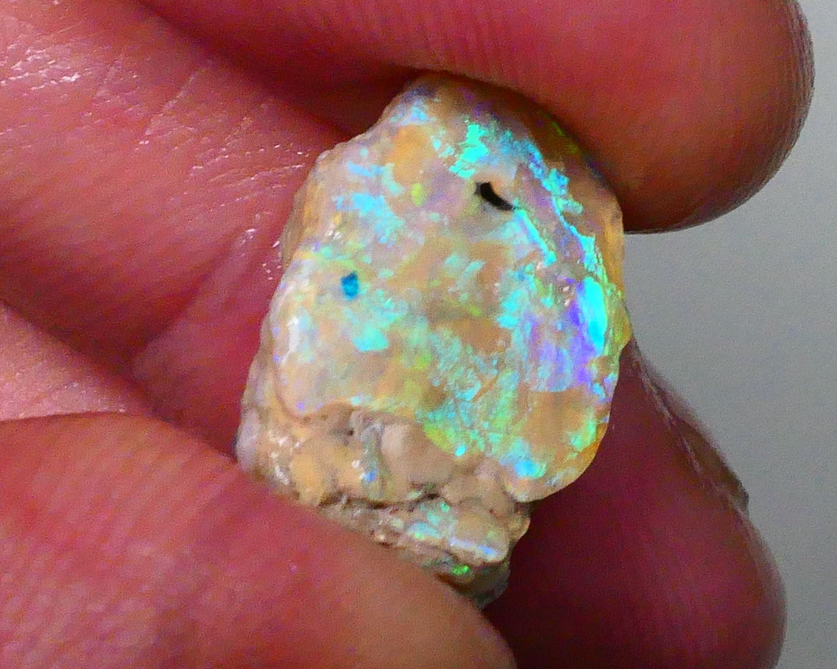 vibrant Rainbow of Fires on this Knobby opal formation rough 7.00cts Lightning Ridge carve or collect 18x12x5mm Lot B4-A572