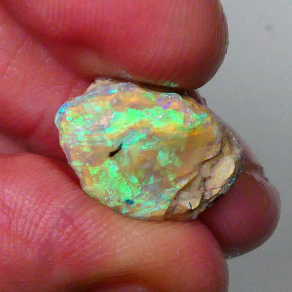 vibrant Rainbow of Fires on this Knobby opal formation rough 7.00cts Lightning Ridge carve or collect 18x12x5mm Lot B4-A572
