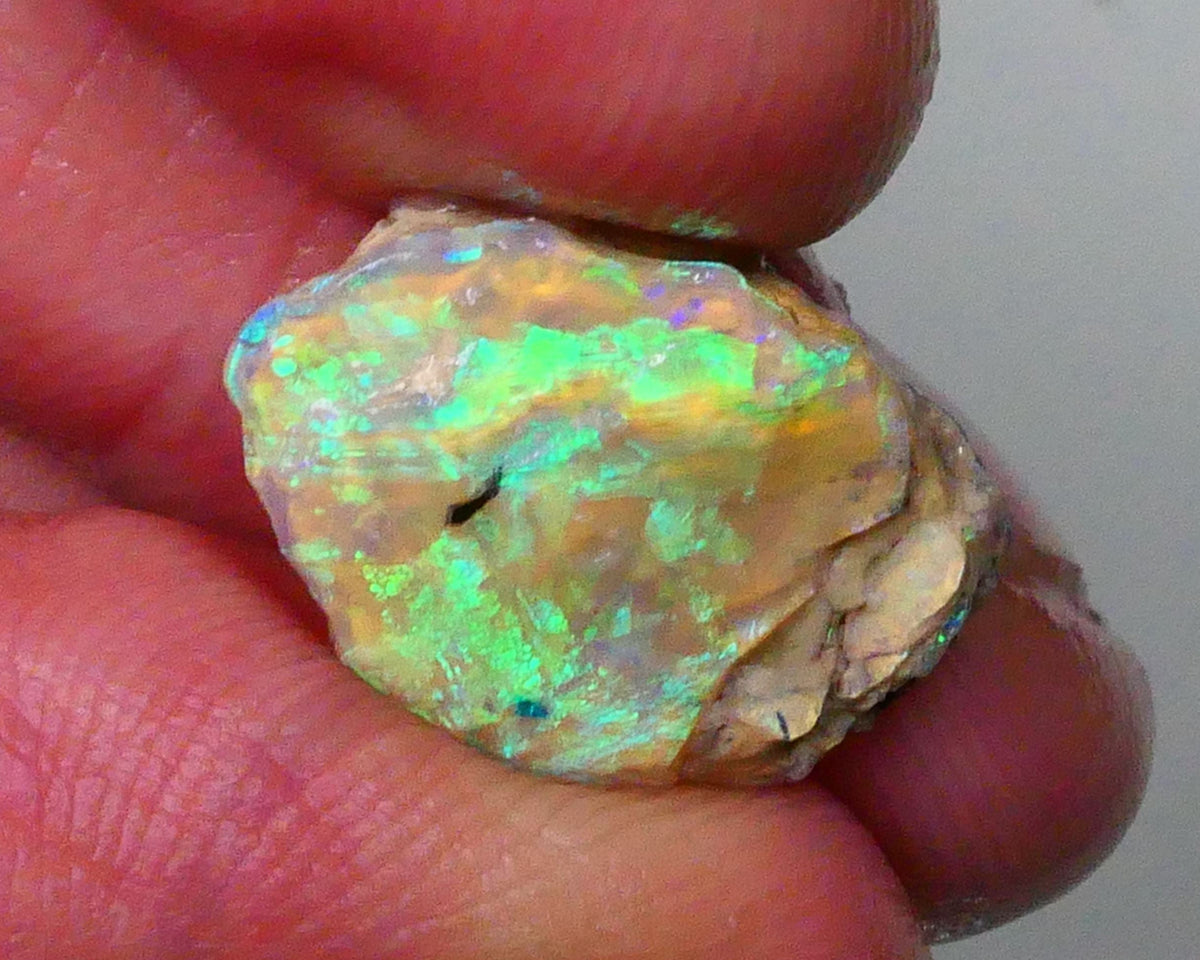 vibrant Rainbow of Fires on this Knobby opal formation rough 7.00cts Lightning Ridge carve or collect 18x12x5mm Lot B4-A572