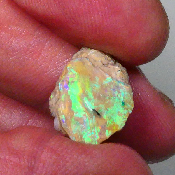 vibrant Rainbow of Fires on this Knobby opal formation rough 7.00cts Lightning Ridge carve or collect 18x12x5mm Lot B4-A572