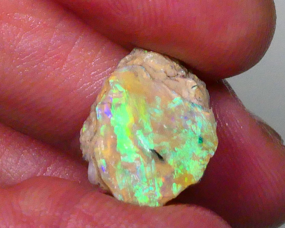 vibrant Rainbow of Fires on this Knobby opal formation rough 7.00cts Lightning Ridge carve or collect 18x12x5mm Lot B4-A572