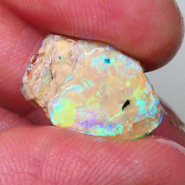 vibrant Rainbow of Fires on this Knobby opal formation rough 7.00cts Lightning Ridge carve or collect 18x12x5mm Lot B4-A572