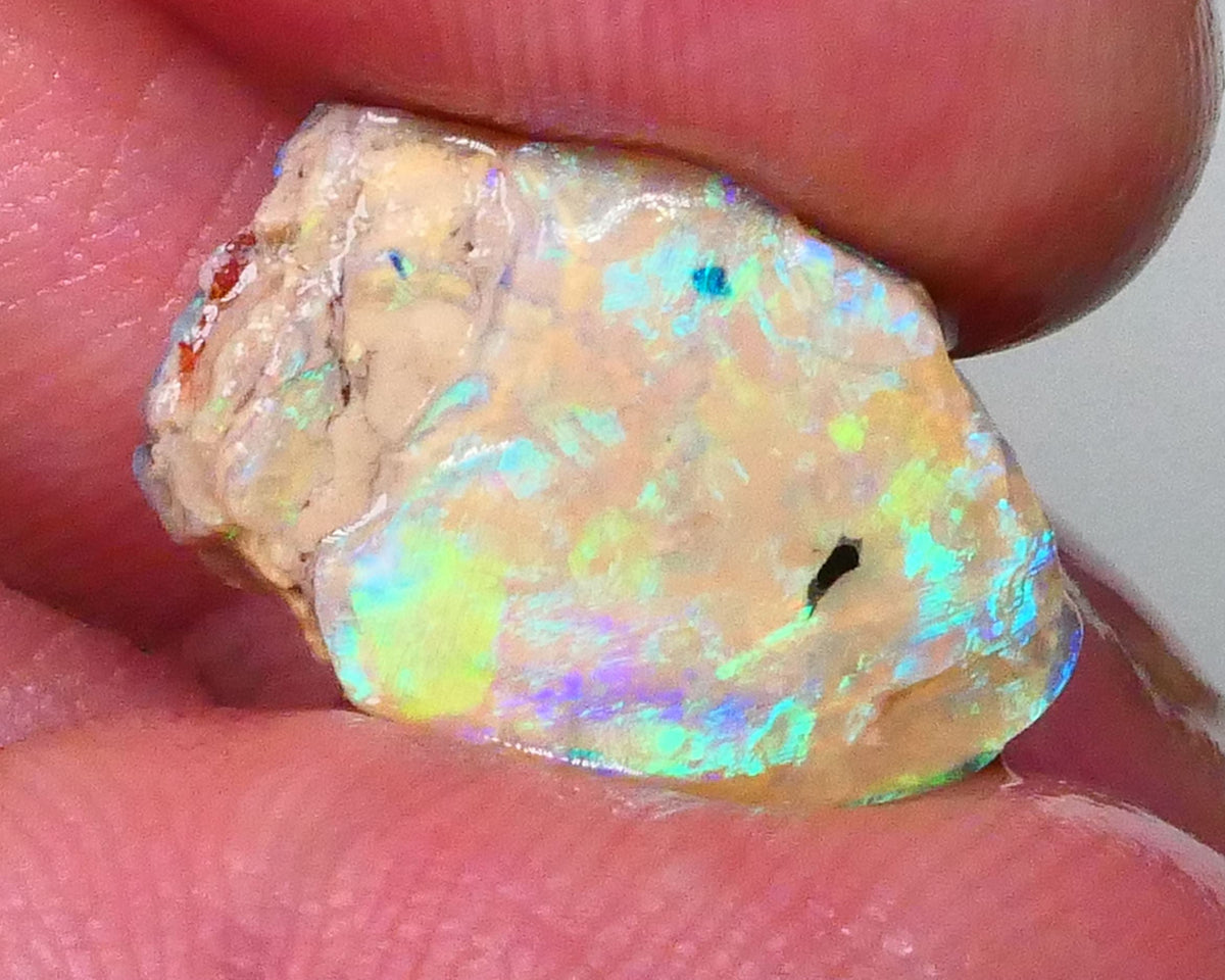 vibrant Rainbow of Fires on this Knobby opal formation rough 7.00cts Lightning Ridge carve or collect 18x12x5mm Lot B4-A572