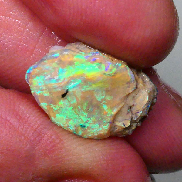 vibrant Rainbow of Fires on this Knobby opal formation rough 7.00cts Lightning Ridge carve or collect 18x12x5mm Lot B4-A572