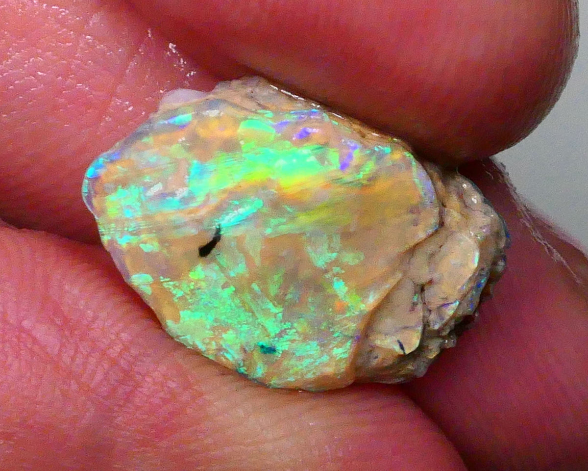 vibrant Rainbow of Fires on this Knobby opal formation rough 7.00cts Lightning Ridge carve or collect 18x12x5mm Lot B4-A572