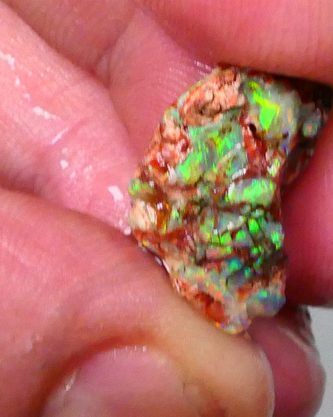 Bid-4.com Bid for Australian opal £1 No Reserve Auctions Details to come Lot B4-A791