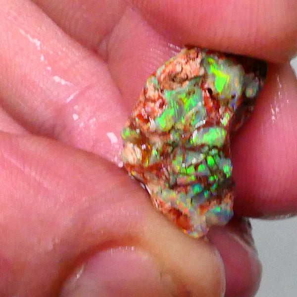 Bid-4.com Bid for Australian opal £1 No Reserve Auctions Details to come Lot B4-A791