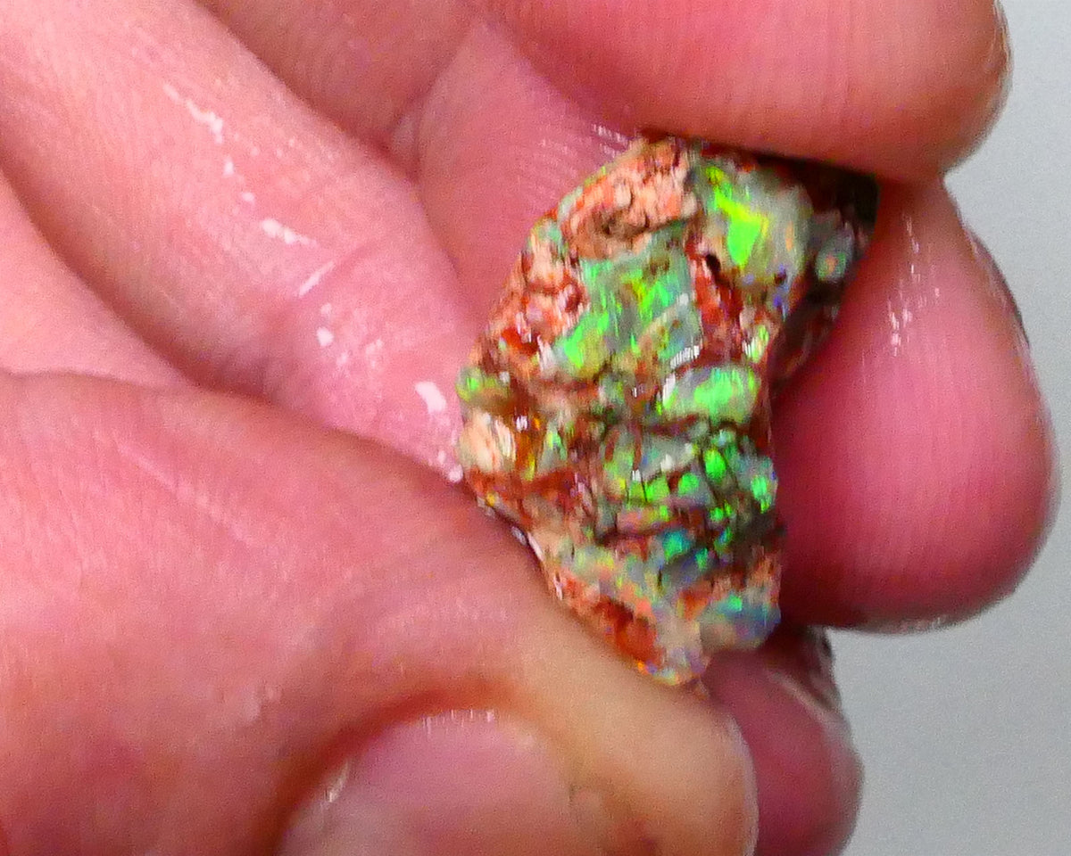 Bid-4.com Bid for Australian opal £1 No Reserve Auctions Details to come Lot B4-A791