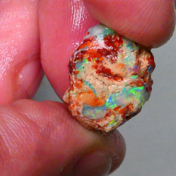 Bid-4.com Bid for Australian opal £1 No Reserve Auctions Details to come Lot B4-A791