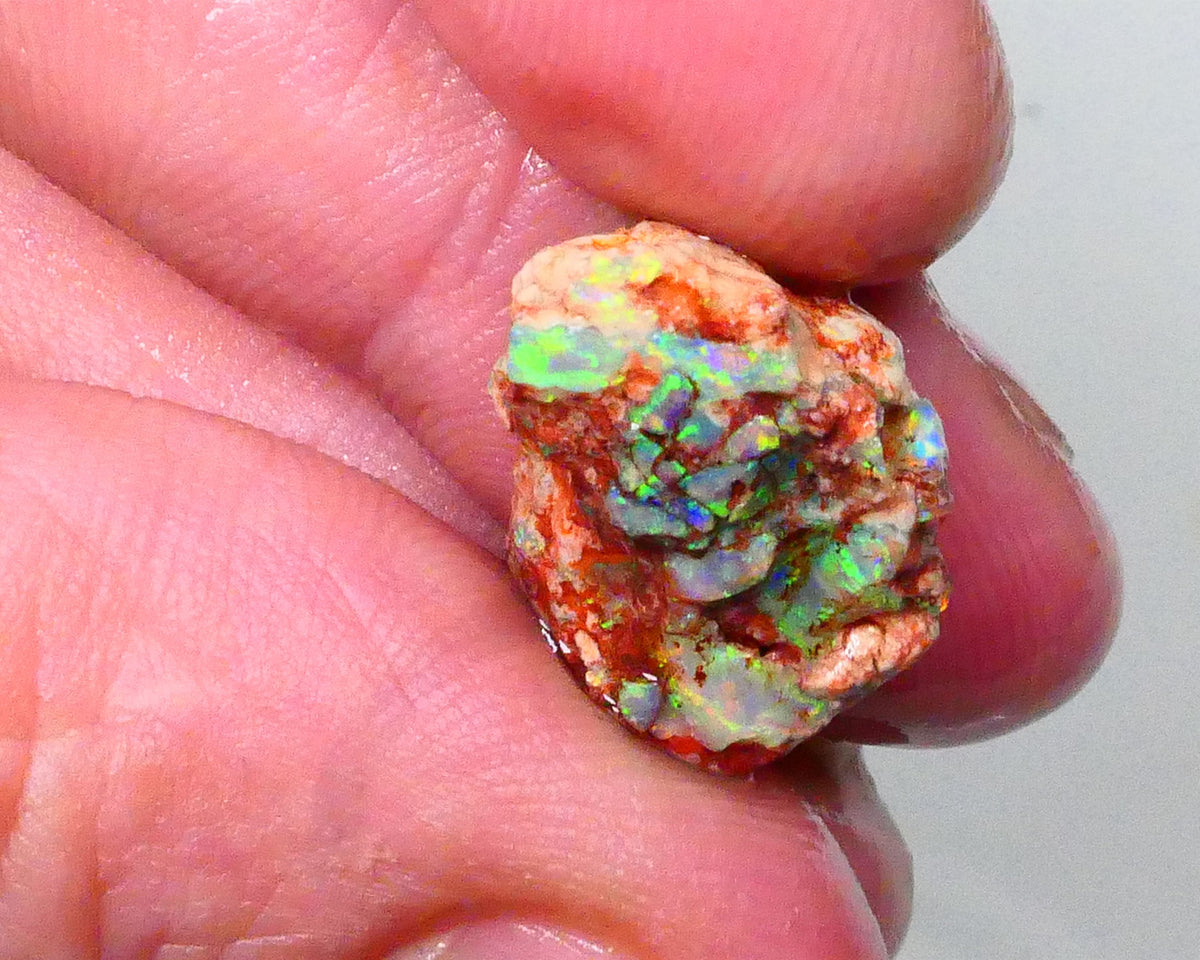 Bid-4.com Bid for Australian opal £1 No Reserve Auctions Details to come Lot B4-A791