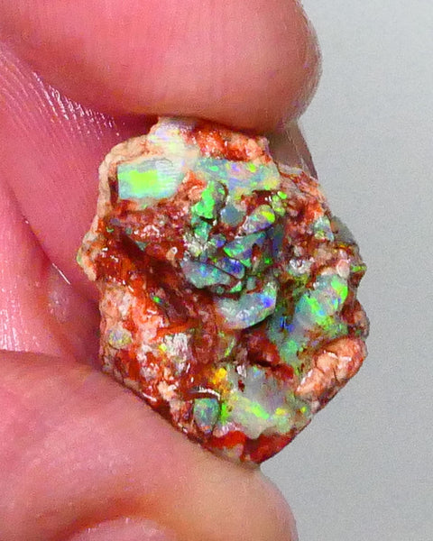 Bid-4.com Bid for Australian opal £1 No Reserve Auctions Details to come Lot B4-A791