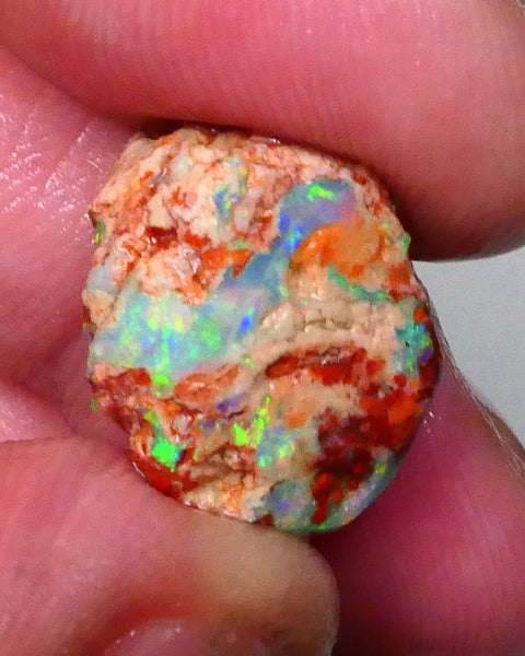 Exotic Bright Vibrant Multicolours on this untouched knobby opal rough 9.20cts Lighting Ridge Material Collect/carve/cut  18x14x9mm Lot B4-A791