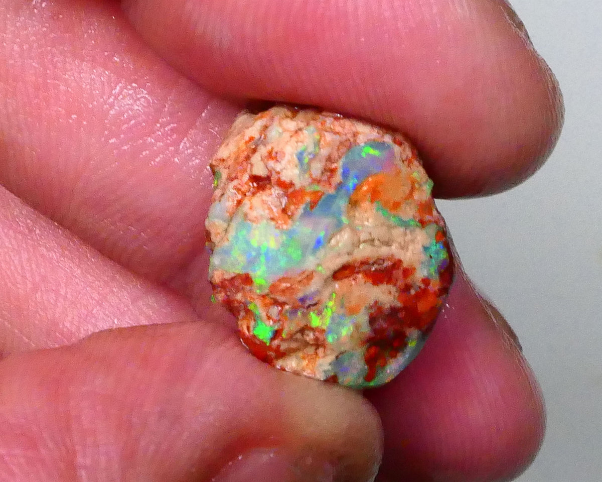 Bid-4.com Bid for Australian opal £1 No Reserve Auctions Details to come Lot B4-A791