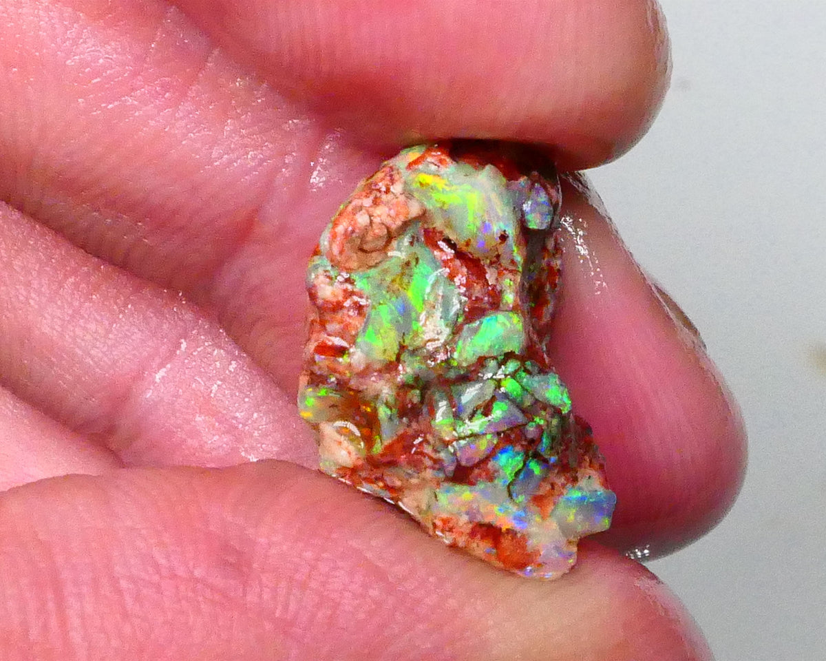 Bid-4.com Bid for Australian opal £1 No Reserve Auctions Details to come Lot B4-A791