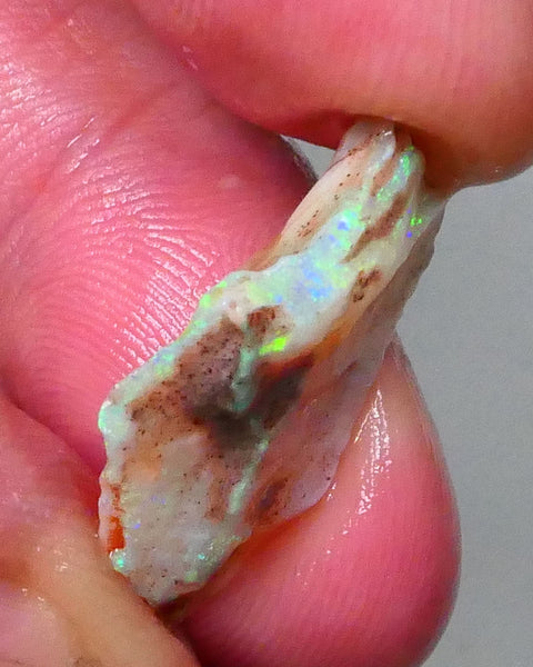 Colours popping 360 on this Crystal Seam opal rough of Lighting Ridge 6.50cts Bright Green/blue fires in nice bar to cut 24x15x5mm  Lot B4-A570